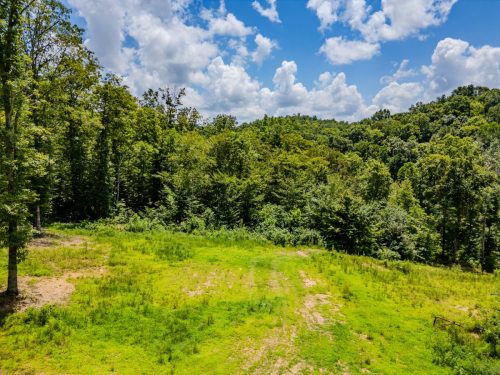 2291BlankeyBranch-0311