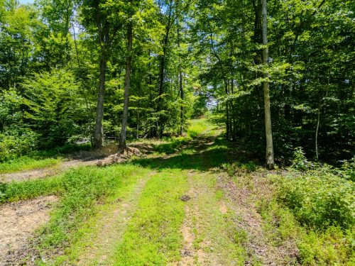 2291BlankeyBranch-0314