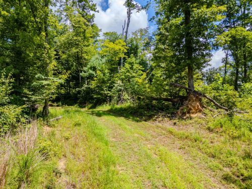 2291BlankeyBranch-0318