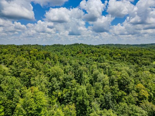 2291BlankeyBranch-0321