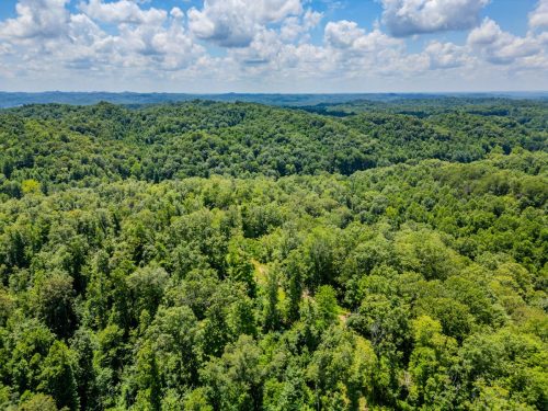 2291BlankeyBranch-0325