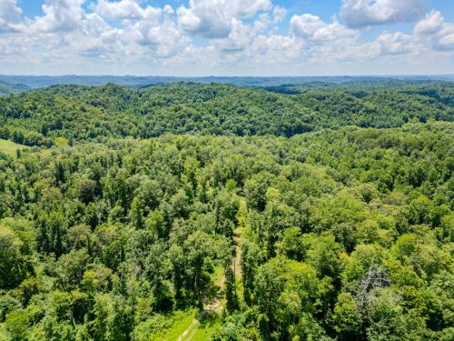 2291BlankeyBranch-0327