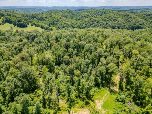 2291BlankeyBranch-0330