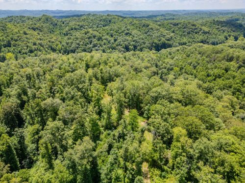 2291BlankeyBranch-0331