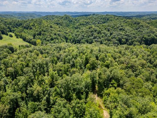 2291BlankeyBranch-0333