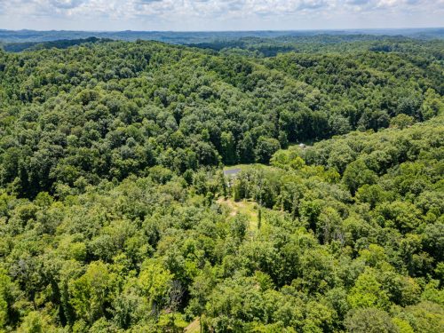 2291BlankeyBranch-0335