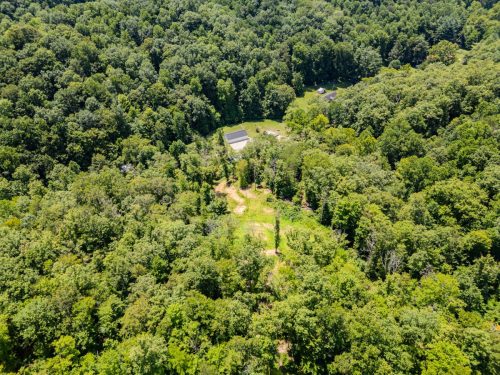 2291BlankeyBranch-0337