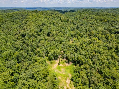 2291BlankeyBranch-0343