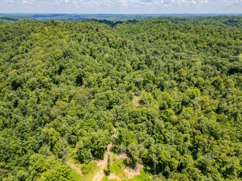 2291BlankeyBranch-0345