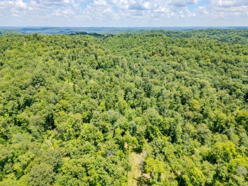 2291BlankeyBranch-0348