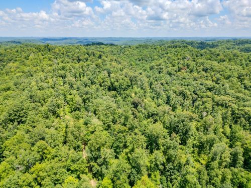 2291BlankeyBranch-0350