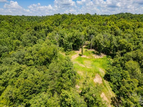 2291BlankeyBranch-0351