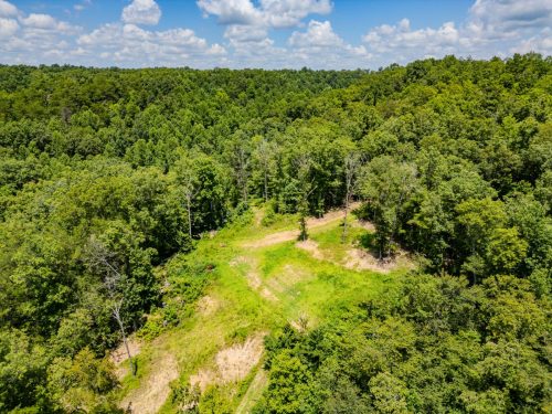 2291BlankeyBranch-0353