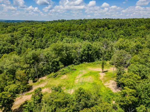 2291BlankeyBranch-0355