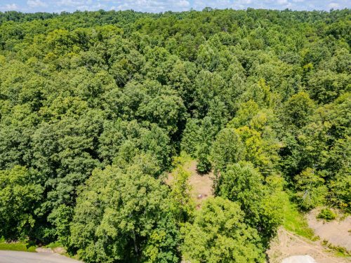 2291BlankeyBranch-0357