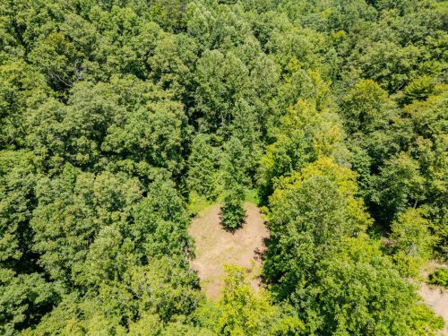 2291BlankeyBranch-0361