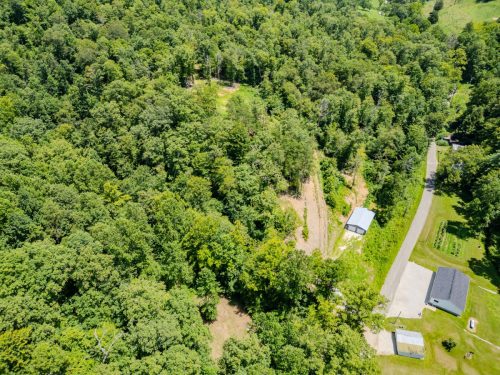 2291BlankeyBranch-0364