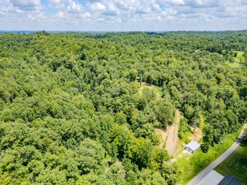 2291BlankeyBranch-0366