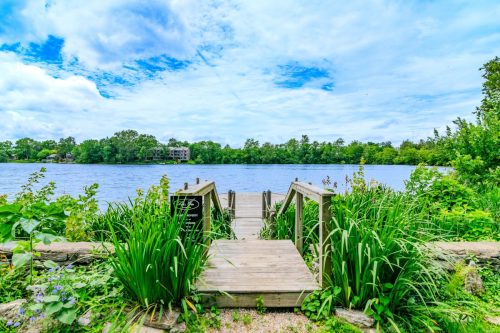 2414LakePark4205-0075