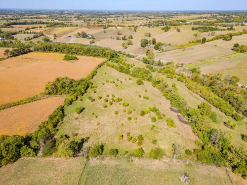 2569Headquarters-0206