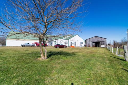 287Redwood-0125