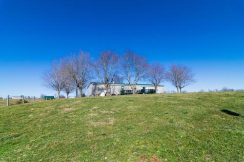 287Redwood-0284