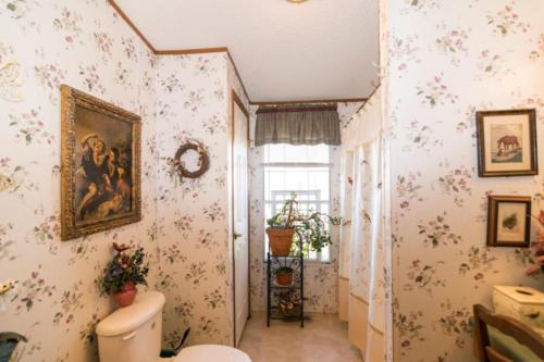287Redwood-0349