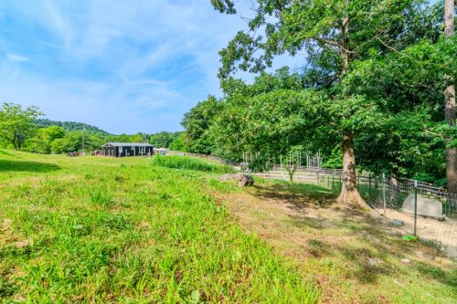 297HiddenValley-0137