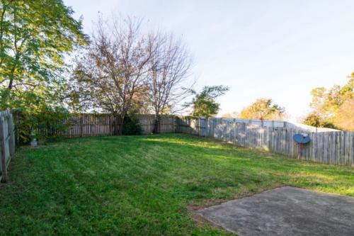 3128Tiburon-0195