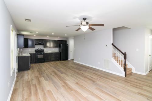 3168Tiburon-0011