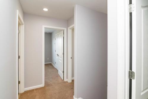 3168Tiburon-0049