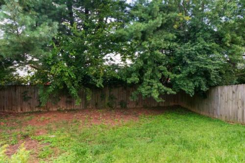 3385Drayton-0276
