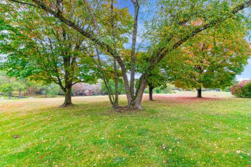 3421ChestnutHill-0256