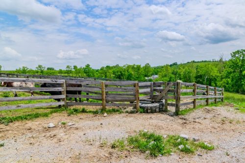 3900UpperSharpsburg-0222