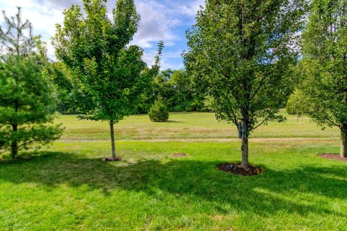 3909Castlebridge-0105