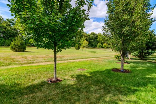 3909Castlebridge-0108