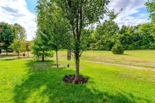 3909Castlebridge-0110