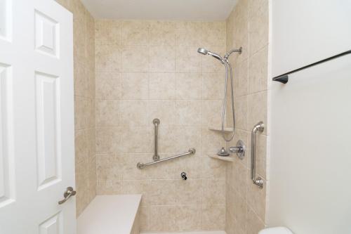 4808Dodder-0114