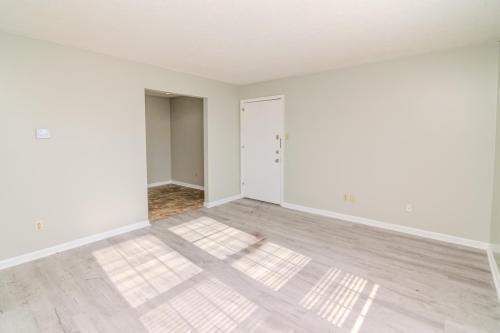 507Spring-0006