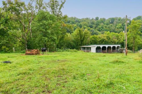 5415FourMile-11
