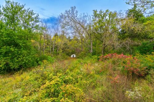 5921Cornishville-0256