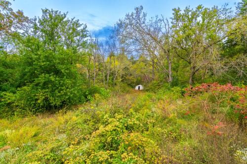 5921Cornishville-0260