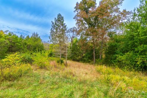 5921Cornishville-0262