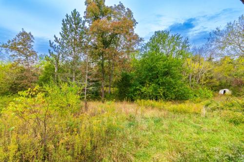 5921Cornishville-0266