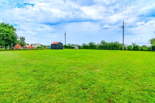 733CharlieNorris-0021