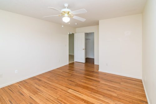 817HiddenStream-0182