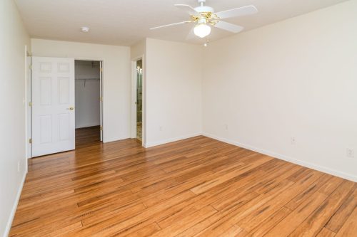 817HiddenStream-0184