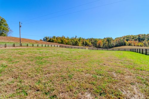 967PineHillBrock-0103